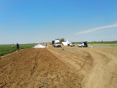 2019-06 ���� ���� Syngenta