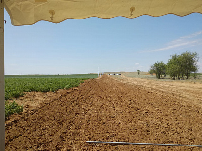 2019-06 ���� ���� Syngenta