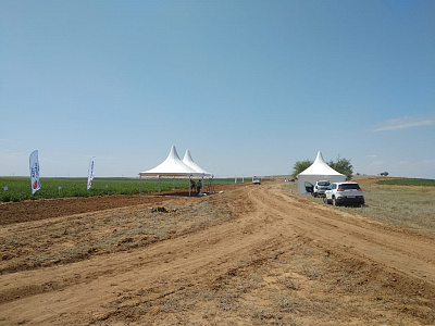 2019-06 ���� ���� Syngenta