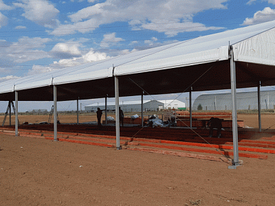 2021-07 ���� ���� Syngenta
