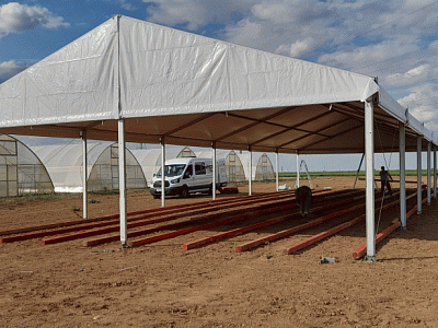 2021-07 ���� ���� Syngenta