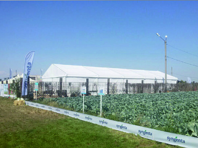 ���� ���� ��� "����-��������" � ��� "SYNGENTA"