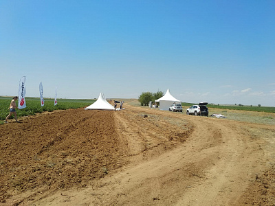 2019-06 ���� ���� Syngenta