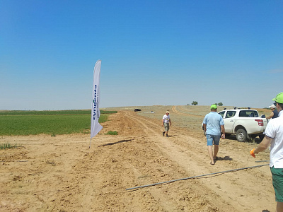 2019-06 ���� ���� Syngenta