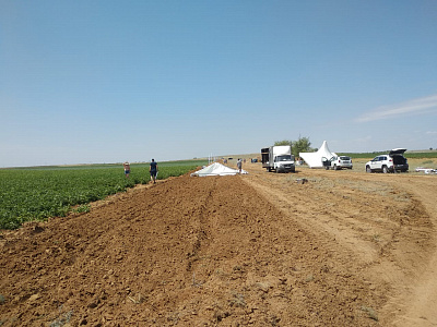 2019-06 ���� ���� Syngenta