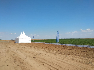 2019-06 ���� ���� Syngenta