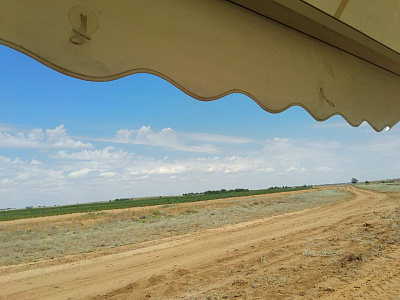 2019-06 ���� ���� Syngenta
