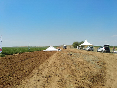 2019-06 ���� ���� Syngenta