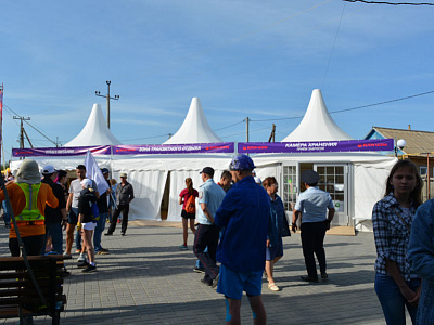 Elton Ultra 2019