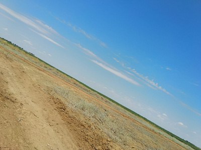 2019-06 ���� ���� Syngenta