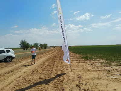 2019-06 ���� ���� Syngenta