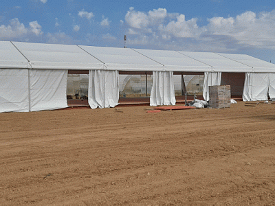 2021-07 ���� ���� Syngenta