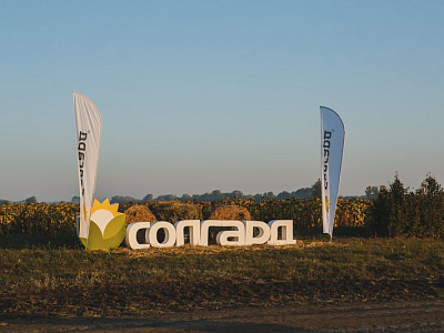2019-10 ���� ����
