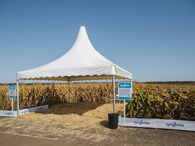 2019-10 ���� ����