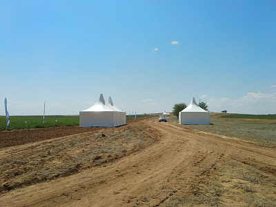 2019-06 ���� ���� Syngenta